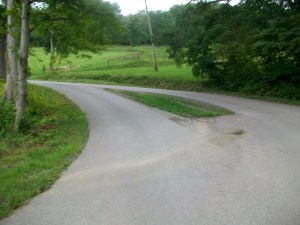 Spot where tree used to stand