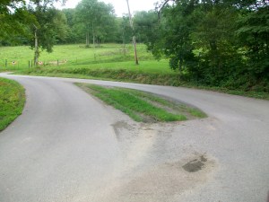 Spot where tree used to stand